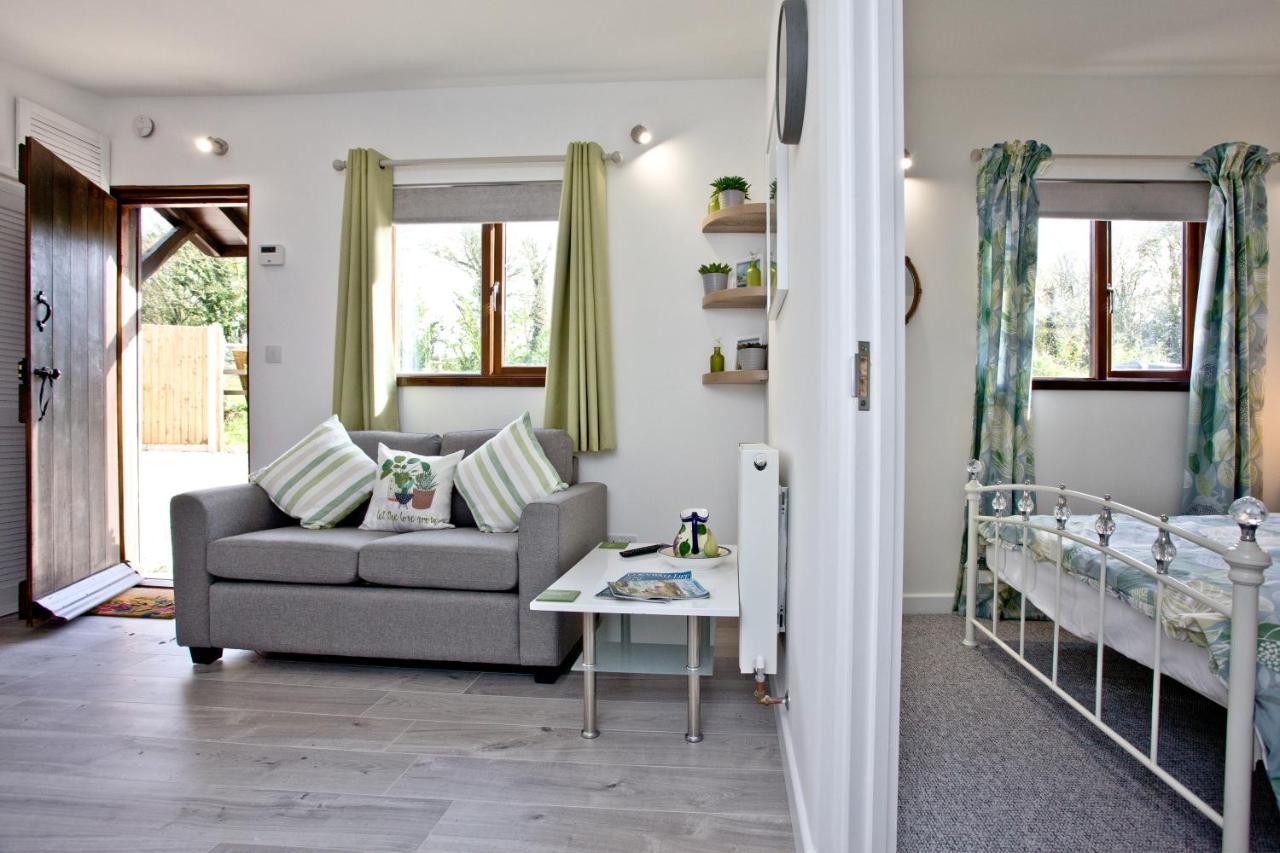 The Cabin At Hillhead Farm Сент-Колумб-Мейджор Экстерьер фото